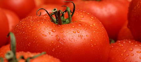 Balkontomaten düngen