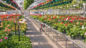 Gartencenter