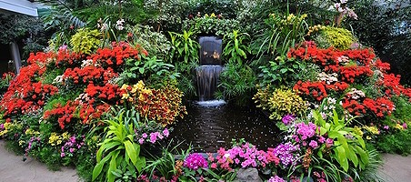 Wintergarten bepflanzen