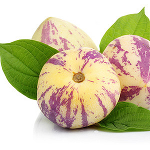 Birnenmelone überwintern