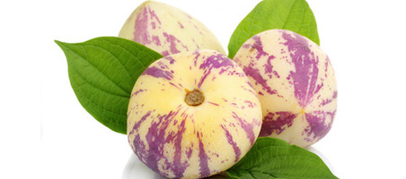 Birnenmelone überwintern