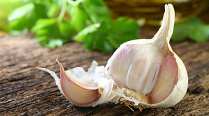 Knoblauch