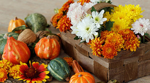 Herbstdekoration