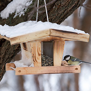 Vogelhäuschen