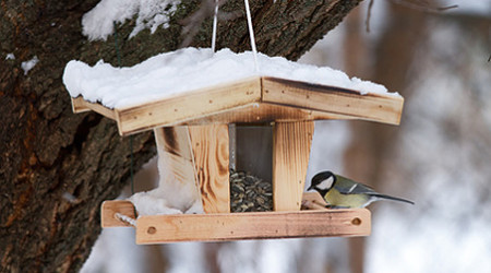 Vogelhäuschen für Balkon und Terrasse