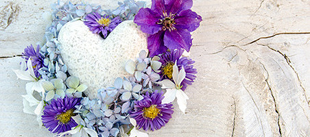 Balkonpflanzen mit violetten Blüten
