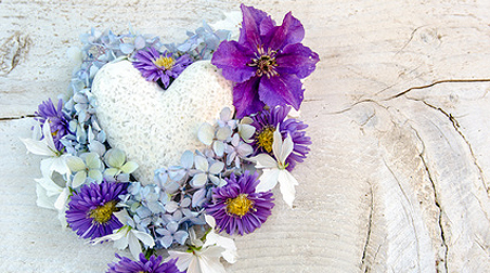 Imposante Farbakzente setzen: Balkonpflanzen mit violetten Blüten oder lila blühend