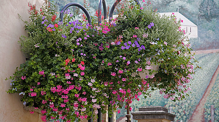 Blumenampeln für Balkon und Terrasse bepflanzen befestigen