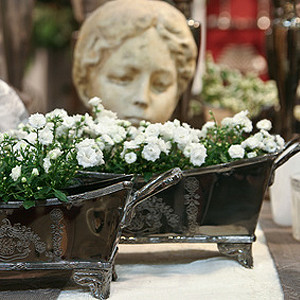 Blumenkästen