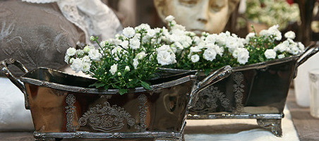 Blumenkästen