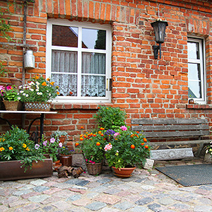 Windschutz für Kübelpflanzen