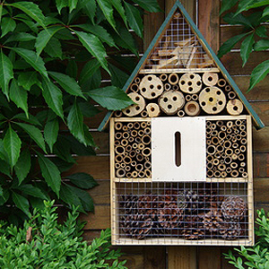 Insektenhotel Insektenhotel