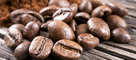 Kaffeesatz als Dünger