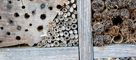 Insektenhotel