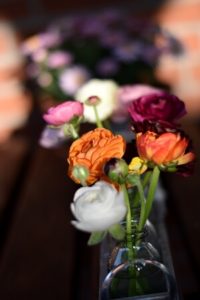 Ranunkeln in der Vase