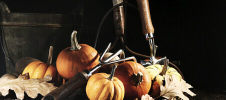 Balkonarbeiten im Oktober - Gardening tools und Kürbisse