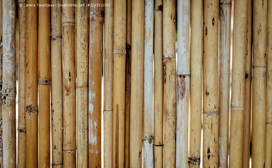 Bambus als Sichtschutz für den Balkon