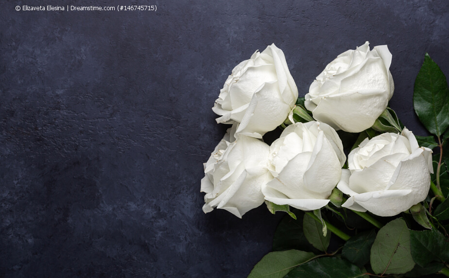 weiße Rosen - Balkonpflanzen mit weißen Blüten