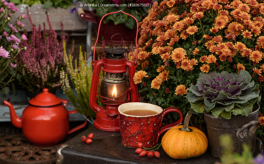 Balkonbepflanzung und Deko im Herbst