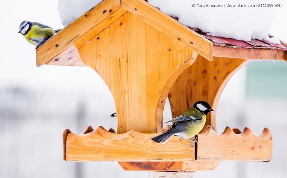 Vogelhäuschen für den Garten sowie Balkon und Terrasse